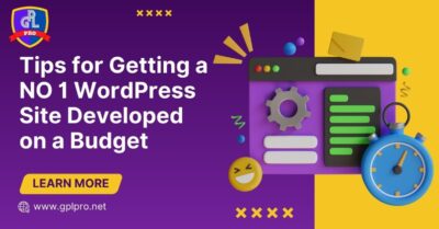 Tips for Getting a NO 1 WordPress Site Developed on a Budget